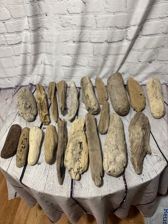 Pacific Northwest Other - 20 pieces PNW Pacific Ocean Grays Harbor Natural Driftwood Home Accent Bundle